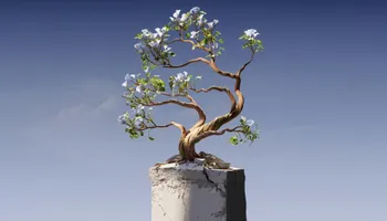 A sculpted tree in bloom growing out of a cracked concrete pillar against a clear blue sky.