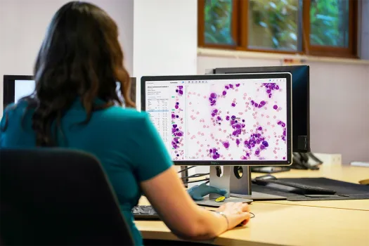 A physician reviewing cells using Cellbytes.
